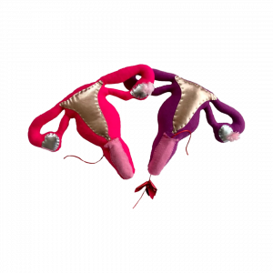 aparato reproductor femenino