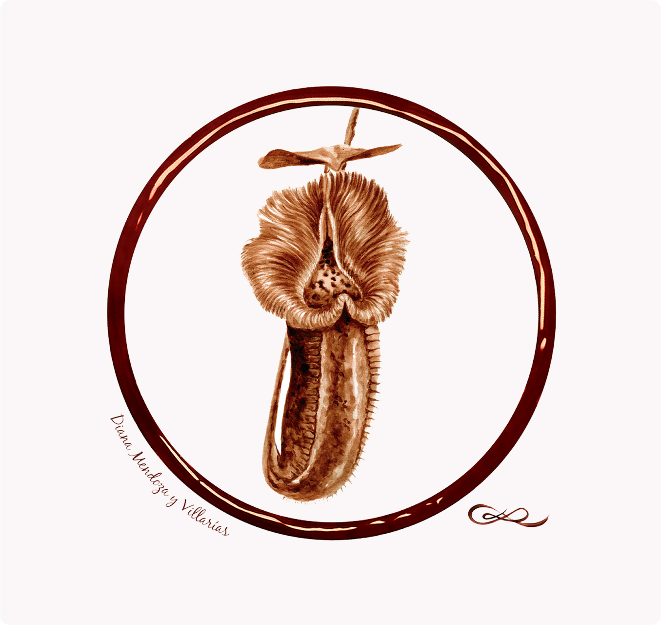 serie-flores-carnivora