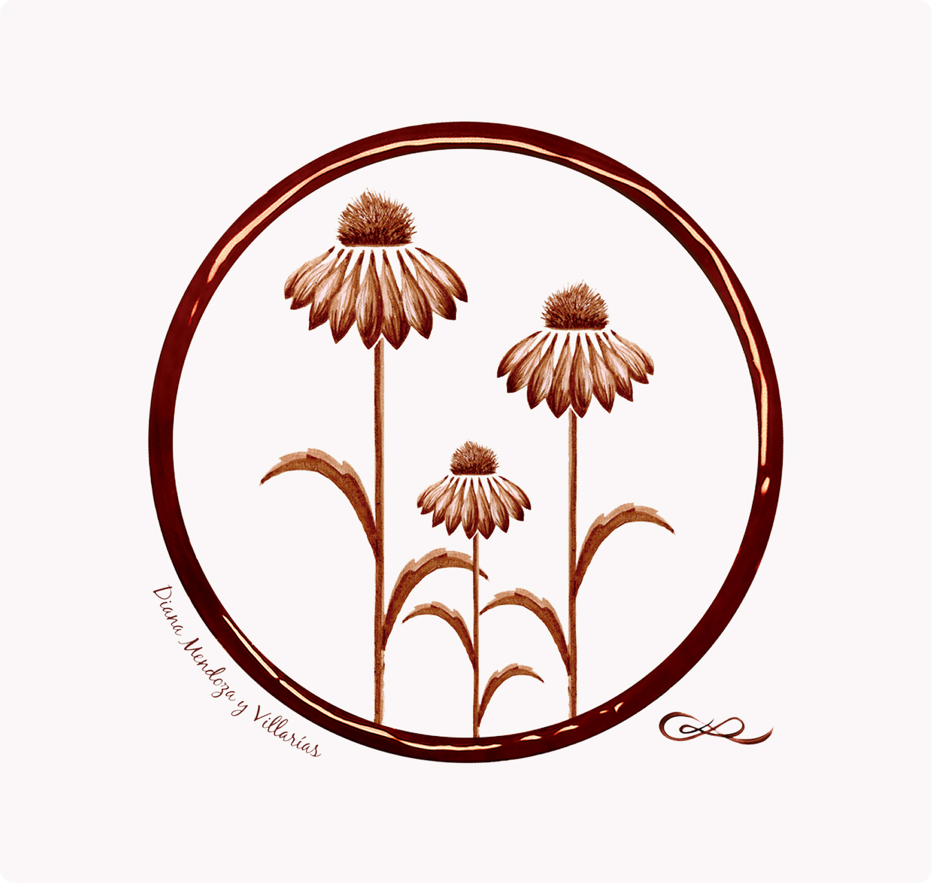 serie-flores-equinacea