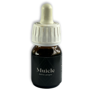 Tintura: Muicle